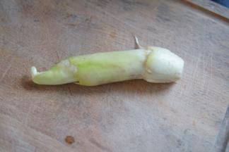 首先处理芦笋，芦笋洗干净