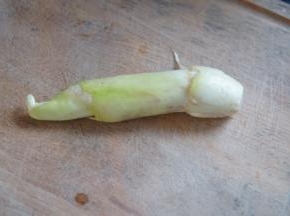 首先处理芦笋，芦笋洗干净