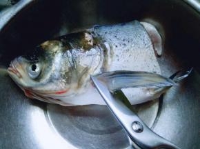 用食品简单剪掉鱼鳃。