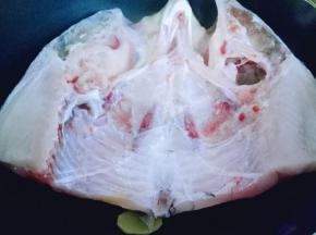 洗的干干净净的鱼头。