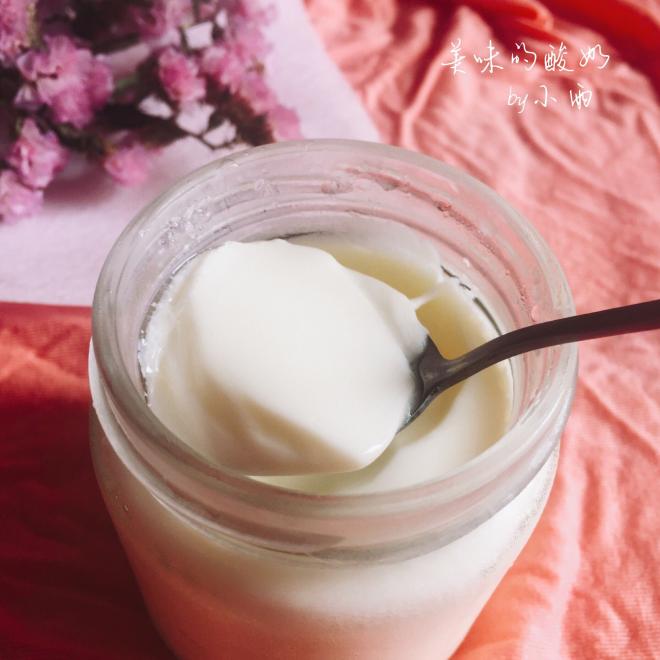 酸奶机版老酸奶