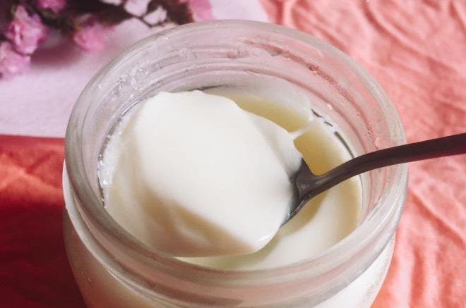 酸奶机版老酸奶