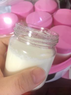 一早起来，老酸奶已经好了