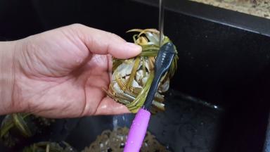 吃之前要拿一个细的牙刷，将螃蟹的各个部位都洗刷干净。这个活一定要交给一家之主干，哈哈。