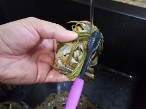 吃之前要拿一个细的牙刷，将螃蟹的各个部位都洗刷干净。这个活一定要交给一家之主干，哈哈。