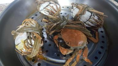 这时螃蟹也蒸好了，有一只螃蟹挣扎了好久，但是他也没逃脱被蒸熟的厄运。嘎嘎