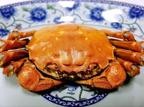 另取一只盘，拿一只螃蟹放在盘中，我要把它吃掉。