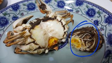 首先将母蟹的下半身把它去除，这个是不能吃的,要把它除去。