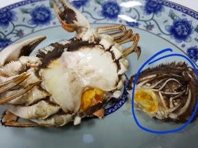 首先将母蟹的下半身把它去除，这个是不能吃的,要把它除去。