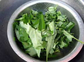空心菜切小段。