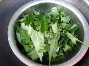 空心菜切小段。