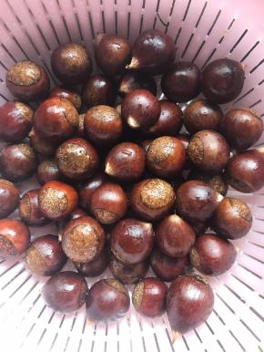 栗子洗干净，沥干水份