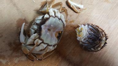 6.螃蟹的下部去除。