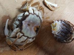 6.螃蟹的下部去除。