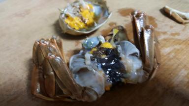 7.从缺口顺势将螃蟹壳掀起，去除螃蟹的鳃。