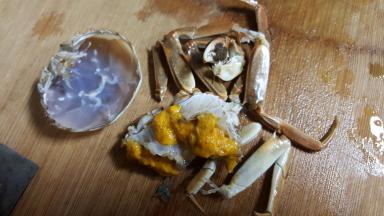 10.另一只已经让我大卸八块，螃蟹上盖中脏东西洗净备用。