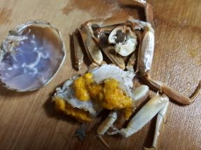 10.另一只已经让我大卸八块，螃蟹上盖中脏东西洗净备用。