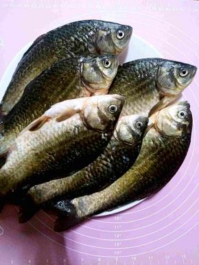 鲫鱼去麟去内脏，洗干净，用厨房纸巾擦干水分。