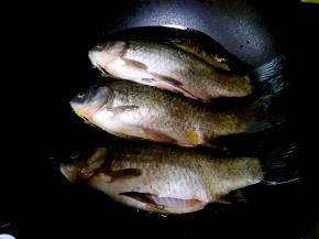 炒锅中放入比平时炒菜多一些的油，把鲫鱼摆放好就不要动了。大火煎制。