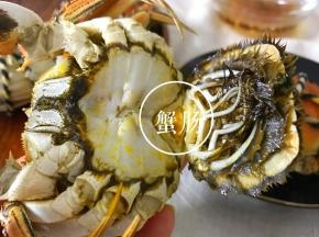 接下来就到吃蟹的幸福时刻了。那么到底哪四个部位不能吃呢？螃蟹性寒，有四个部位不能吃！螃蟹蒸好后的螃蟹先把捆着的绳子解掉。然后把肚子上的盖掰开，蟹肠就在这个部位。先要去掉。