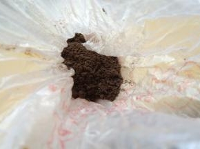 烤蛋糕的过程制作奥利奥奶油馅，将奥利奥饼干装在保鲜袋中，用擀面杖擀碎