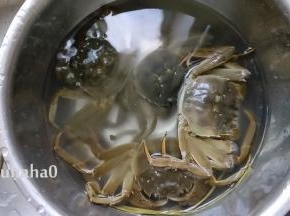 大闸蟹放在水里泡一会，用牙刷刷洗一下螃蟹，刷洗的时候一定不要解开绳子，解开绳子后，场面有点失控，有一个竟然爬出水池子