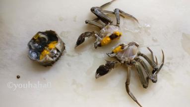 赶紧手起刀落，一斩二半，去掉蟹腮，如此处理了3个大闸蟹，老公处理的时候，看的我心惊胆颤，切开二截的大闸蟹还在那里乱动