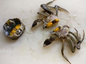 赶紧手起刀落，一斩二半，去掉蟹腮，如此处理了3个大闸蟹，老公处理的时候，看的我心惊胆颤，切开二截的大闸蟹还在那里乱动