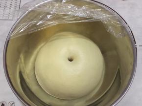 盖上保鲜膜进行一发（25度－28度），手沾面粉插入面团，不塌陷不回缩即发酵完成