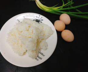 胡萝卜忘拍了，