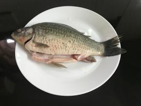 鲫鱼买回来后清洗干净。