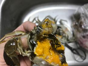 把螃蟹一切为二后去掉去掉它的胃。