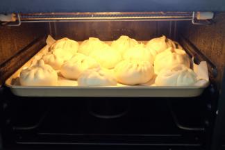 放到蒸箱里，关上蒸箱门，静置发酵25分钟左右，因为用的是一次发酵法，所以要等长一点时间，让包子皮里的发酵粉发挥作用；发酵结束后再接上电源，放上水箱，蒸20分钟；结束后先别开门，焖2－3分钟再打开取出来。用蒸锅也是一样的在，锅底部放上足量的水，包子生胚放在蒸屉上，盖上锅盖静置发酵25分钟左右，再开火蒸20分钟左右，关火后焖2－3分钟再打开锅盖。