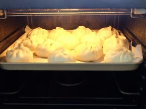 放到蒸箱里，关上蒸箱门，静置发酵25分钟左右，因为用的是一次发酵法，所以要等长一点时间，让包子皮里的发酵粉发挥作用；发酵结束后再接上电源，放上水箱，蒸20分钟；结束后先别开门，焖2－3分钟再打开取出来。用蒸锅也是一样的在，锅底部放上足量的水，包子生胚放在蒸屉上，盖上锅盖静置发酵25分钟左右，再开火蒸20分钟左右，关火后焖2－3分钟再打开锅盖。