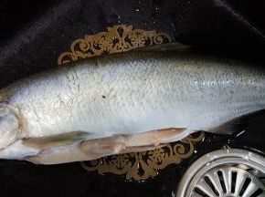 1.鱼去鳃去内脏去鳞，洗干净备用。