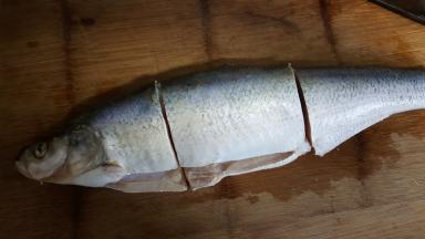 3.把鱼分成三段，我的鱼比较长，如果短的话分成两段就可以。