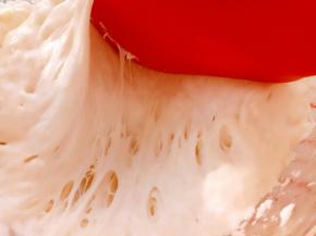 首先做波兰种，把波兰种材料混合均匀放入保鲜盒，放冰箱冷藏20小时左右。直到里面出现小汽泡。