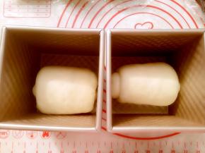 再依次擀成牛舌形卷起来，放到阳晨水立方吐司模具里盖上保鲜膜进行二发。温度不要超过38度（50分钟左右）