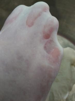 加入软化好的黄油，再揉两个和面程序，直至完全扩展阶段