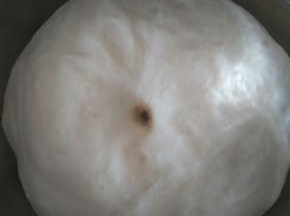 发酵至二倍大小，用手沾面粉戳个洞不回缩，不塌陷就发酵好了