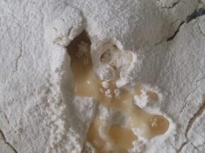 主料中所有食材混合