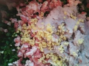 把切好的韭菜，肉丁，鱼肉，姜末放到一起