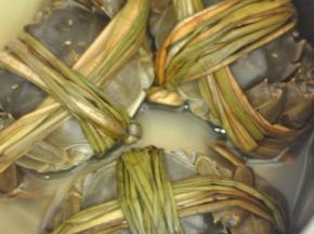 大闸蟹放入盐水中静置一小时，让螃蟹吐吐脏东西。然后用牙刷刷洗表面。