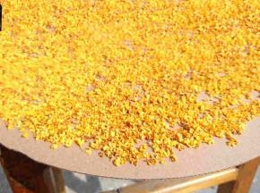 均匀的铺好，放在太阳底下晒干即可。