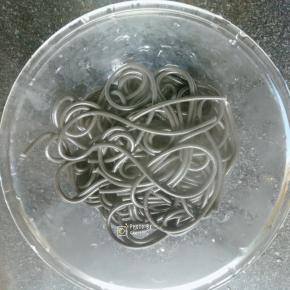 煮好的意面捞出，加入少许橄榄油搅拌一下防粘