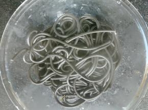 煮好的意面捞出，加入少许橄榄油搅拌一下防粘