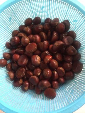 挑选无虫咬的板栗清洗干净后，沥干水分备用！