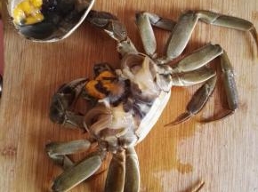 2、先处理螃蟹，将其洗净，掰开外壳，去除蟹腮，将蟹身分成六份。