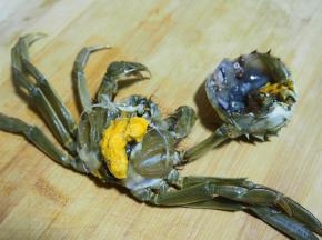 将蟹壳打开，蟹身切成两半