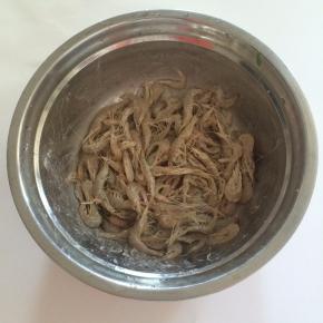 每一个河虾上都裹上面粉